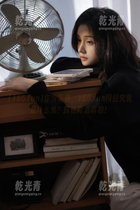 你没听错，155.fun网站究竟是什么鬼？探秘背后真相！
