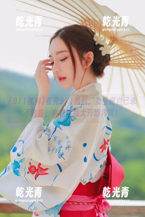看完911黑料，我觉得自己永不迷路，真是让我大开眼界啊！