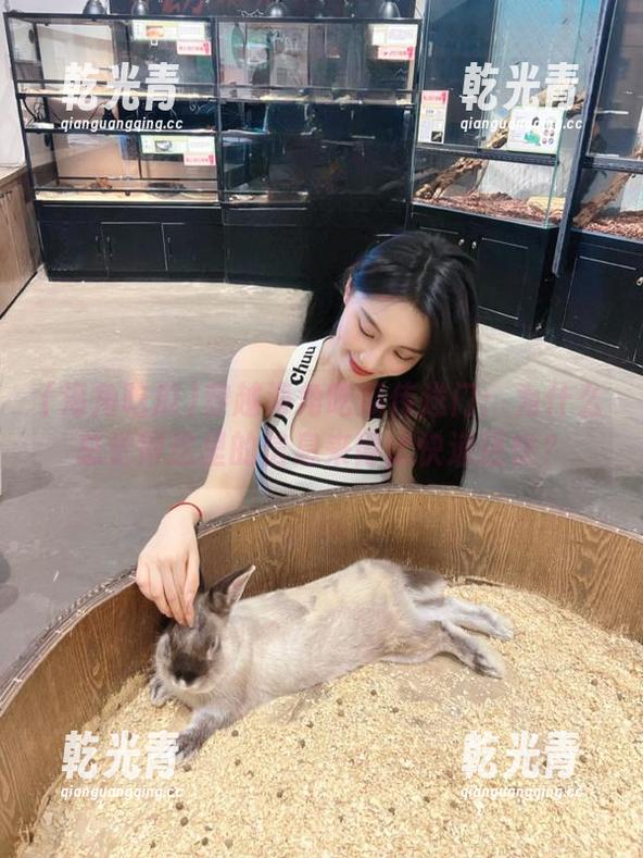 穿越海角吃瓜传送门：为什么总觉得这里的信息来得比快递还快？